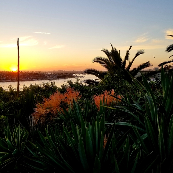 Meet your Posher - Picture 8 of 16